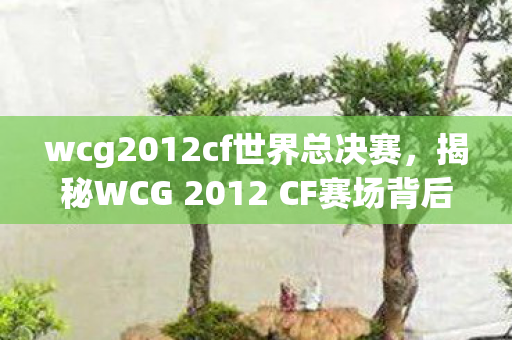 wcg2012cf世界总决赛，揭秘WCG 2012 CF赛场背后的故事