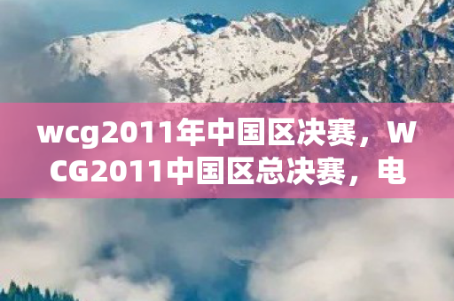 wcg2011年中国区决赛，WCG2011中国区总决赛，电竞巅峰之战的荣耀时刻