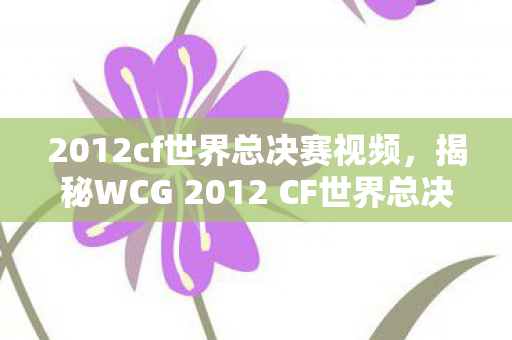 2012cf世界总决赛视频，揭秘WCG 2012 CF世界总决赛背后的故事