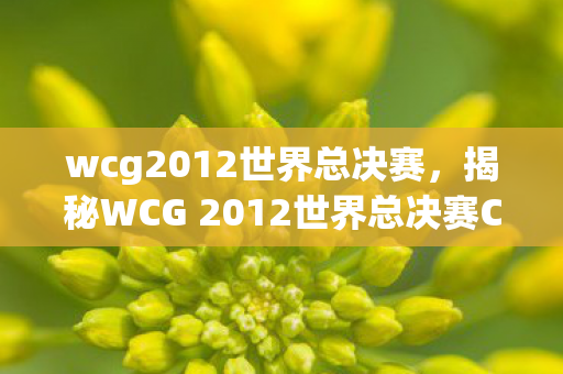 wcg2012世界总决赛，揭秘WCG 2012世界总决赛CF之战，荣耀与梦想的碰撞
