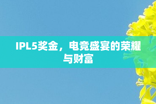 IPL5奖金，电竞盛宴的荣耀与财富