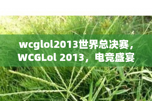 wcglol2013世界总决赛，WCGLol 2013，电竞盛宴，激情燃烧的岁月