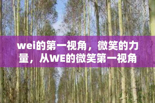wei的第一视角，微笑的力量，从WE的微笑第一视角探索人生的积极态度