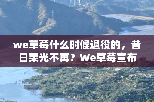 we草莓什么时候退役的，昔日荣光不再？We草莓宣布退役引发电竞圈热议