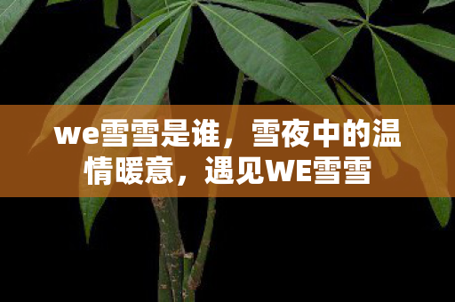 we雪雪是谁，雪夜中的温情暖意，遇见WE雪雪