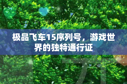 极品飞车15序列号，游戏世界的独特通行证
