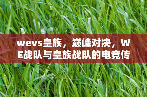 wevs皇族，巅峰对决，WE战队与皇族战队的电竞传奇