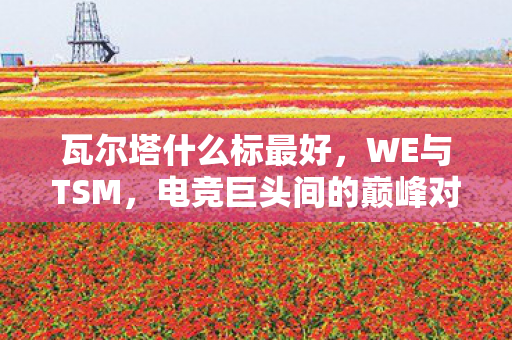 瓦尔塔什么标最好，WE与TSM，电竞巨头间的巅峰对决