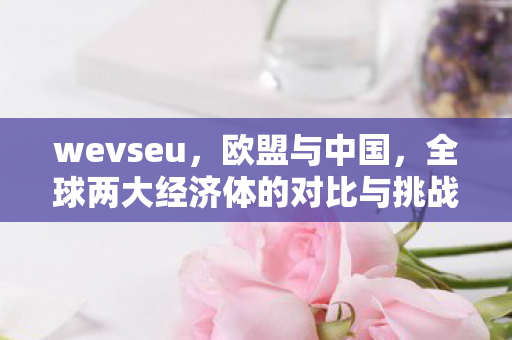 wevseu，欧盟与中国，全球两大经济体的对比与挑战