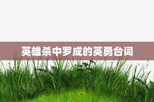 英雄杀中罗成的英勇台词