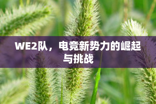 WE2队，电竞新势力的崛起与挑战