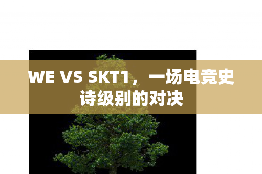 WE VS SKT1，一场电竞史诗级别的对决