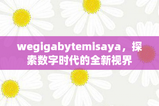 wegigabytemisaya，探索数字时代的全新视界