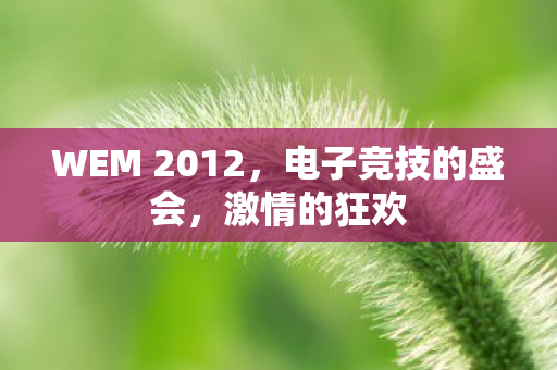 WEM 2012，电子竞技的盛会，激情的狂欢