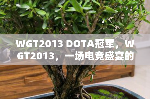 WGT2013 DOTA冠军，WGT2013，一场电竞盛宴的回顾与前瞻