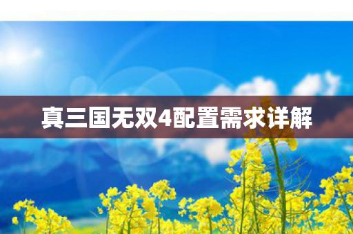 真三国无双4配置需求详解