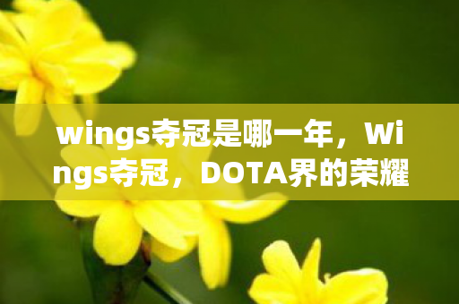 wings夺冠是哪一年，Wings夺冠，DOTA界的荣耀时刻