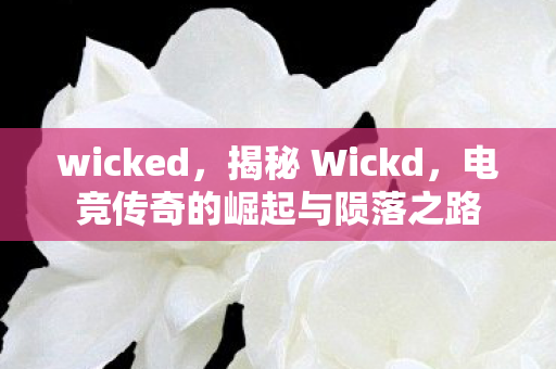 wicked，揭秘 Wickd，电竞传奇的崛起与陨落之路