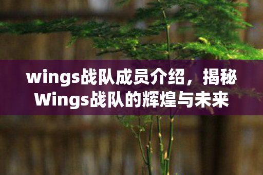 wings战队成员介绍，揭秘Wings战队的辉煌与未来