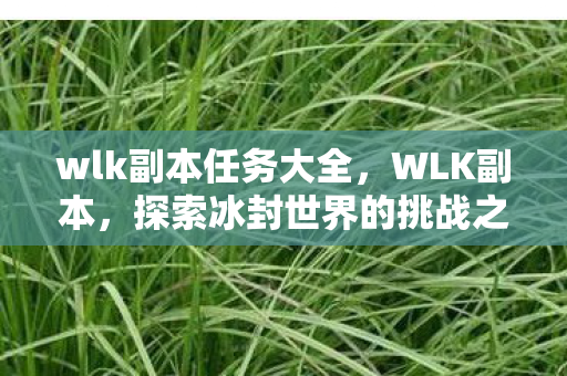 wlk副本任务大全，WLK副本，探索冰封世界的挑战之旅