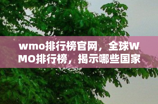 wmo排行榜官网，全球WMO排行榜，揭示哪些国家领跑全球气象与环境领域