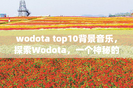wodota top10背景音乐，探索Wodota，一个神秘的世界等你来发现