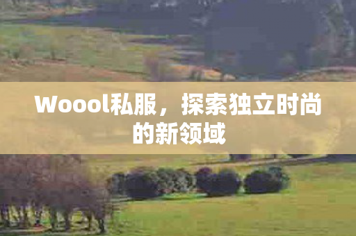 Woool私服，探索独立时尚的新领域
