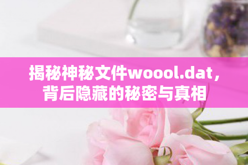 揭秘神秘文件woool.dat，背后隐藏的秘密与真相