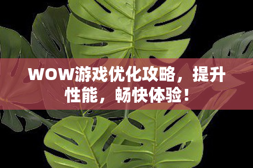 WOW游戏优化攻略，提升性能，畅快体验！