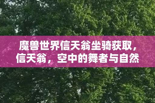 魔兽世界信天翁坐骑获取，信天翁，空中的舞者与自然的诗人