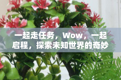 一起走任务，Wow，一起启程，探索未知世界的奇妙之旅