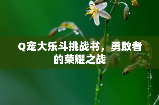 Q宠大乐斗挑战书，勇敢者的荣耀之战