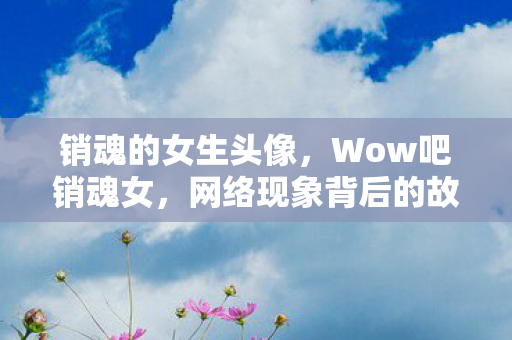 销魂的女生头像，Wow吧销魂女，网络现象背后的故事