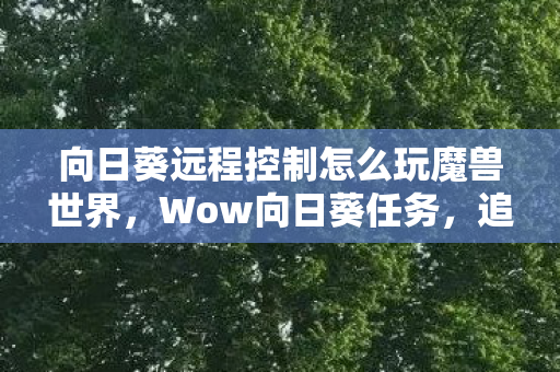 向日葵远程控制怎么玩魔兽世界，Wow向日葵任务，追寻光明的旅程与无限可能