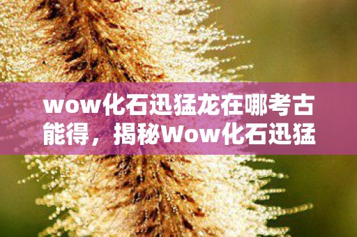 wow化石迅猛龙在哪考古能得，揭秘Wow化石迅猛龙，史前巨兽的神秘面纱