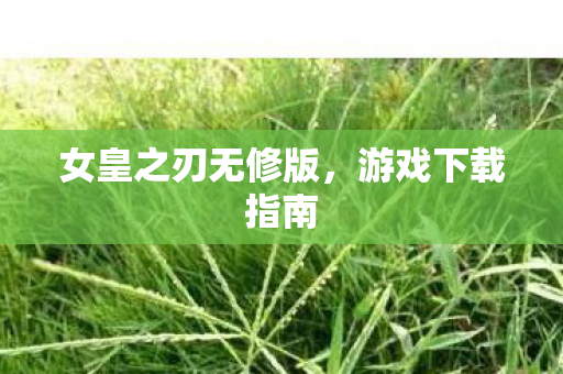 女皇之刃无修版，游戏下载指南