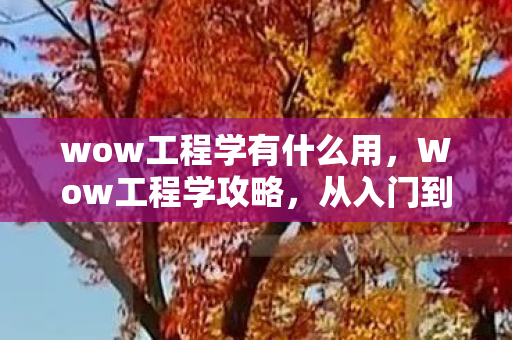 wow工程学有什么用，Wow工程学攻略，从入门到精通的全面指南