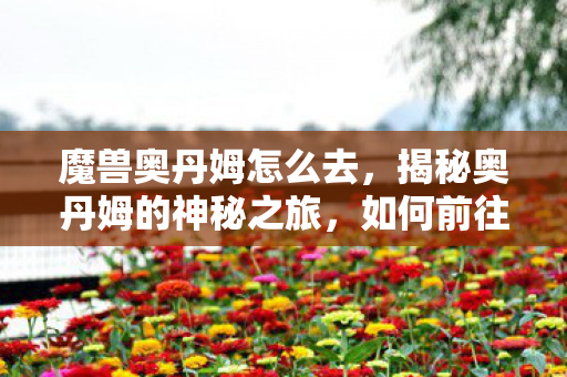 魔兽奥丹姆怎么去，揭秘奥丹姆的神秘之旅，如何前往这片古老之地？