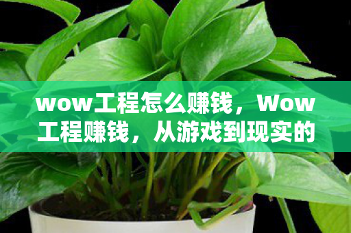 wow工程怎么赚钱，Wow工程赚钱，从游戏到现实的经济之路
