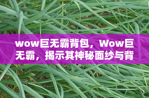 wow巨无霸背包，Wow巨无霸，揭示其神秘面纱与背后的故事