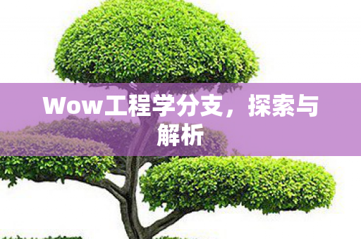 Wow工程学分支，探索与解析