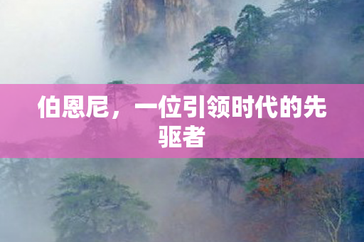 伯恩尼，一位引领时代的先驱者