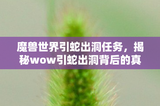魔兽世界引蛇出洞任务，揭秘wow引蛇出洞背后的真相与策略