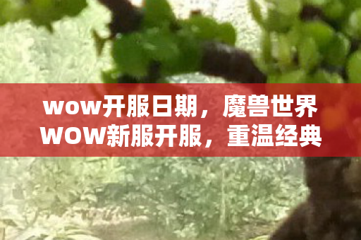 wow开服日期，魔兽世界WOW新服开服，重温经典之旅！