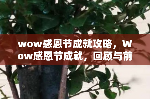 wow感恩节成就攻略，Wow感恩节成就，回顾与前瞻