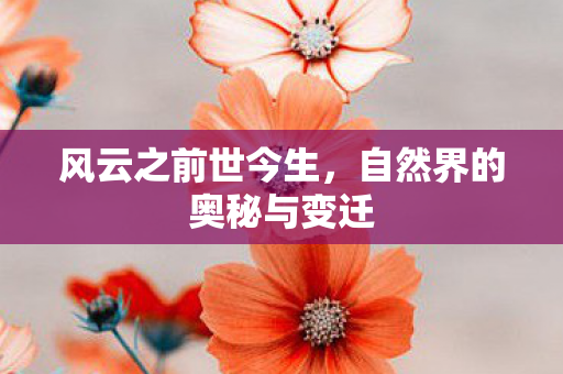 风云之前世今生,自然界的奥秘与变迁 风云之前世今生,自然界的奥秘与变迁