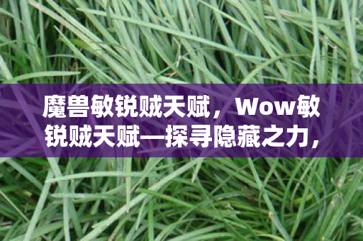 魔兽敏锐贼天赋，Wow敏锐贼天赋—探寻隐藏之力，揭示潜行之美