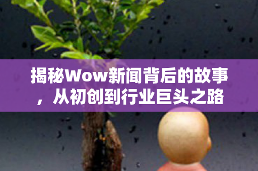 揭秘Wow新闻背后的故事，从初创到行业巨头之路