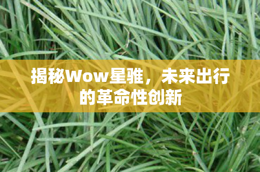 揭秘Wow星骓，未来出行的革命性创新