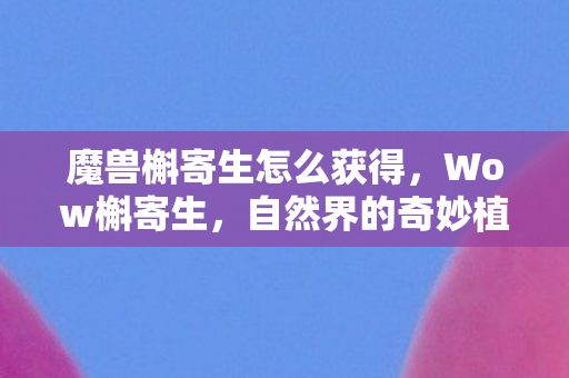 魔兽槲寄生怎么获得，Wow槲寄生，自然界的奇妙植物与人类生活的神秘联系